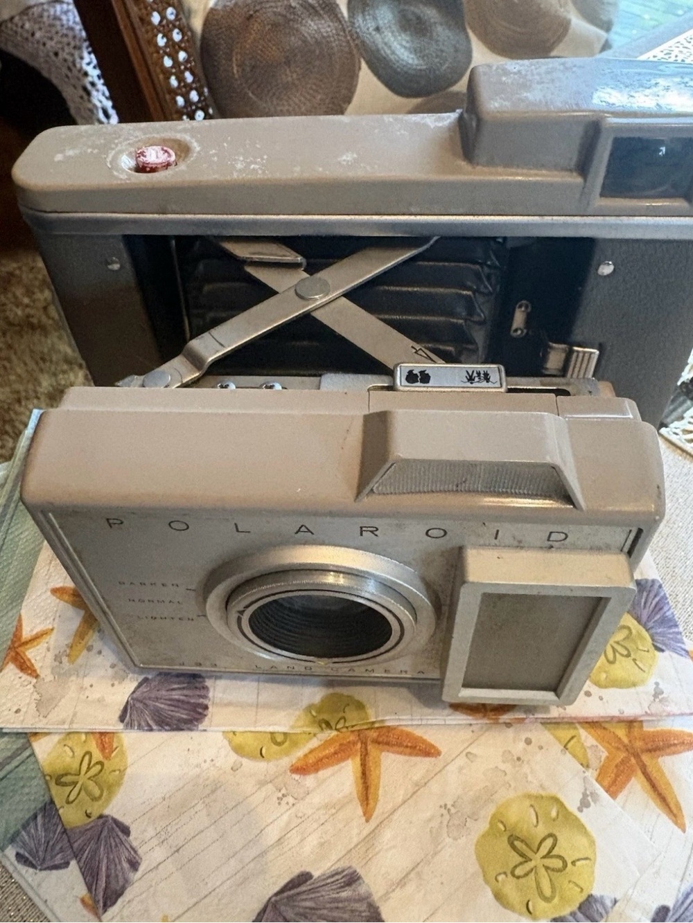 Polaroid Vintage Folding fan Camera in Gray